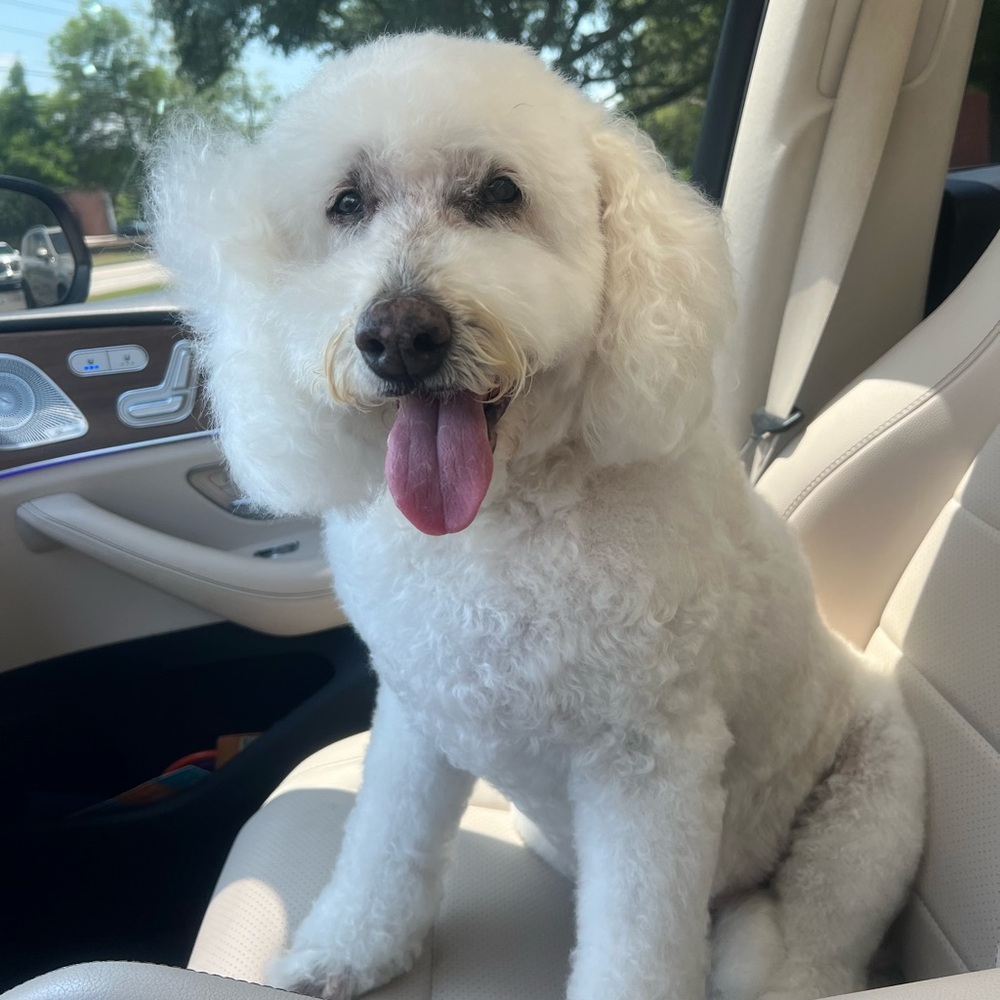 Meet your Posher, Trudi